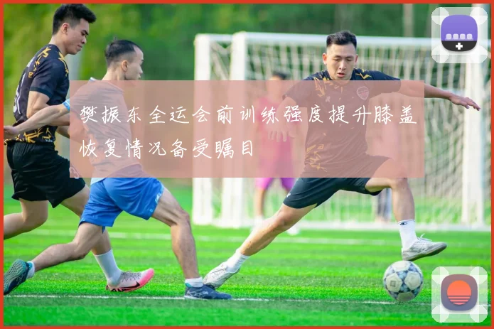 樊振东全运会前训练强度提升膝盖恢复情况备受瞩目